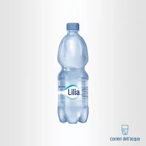 acqua naturale 0,5