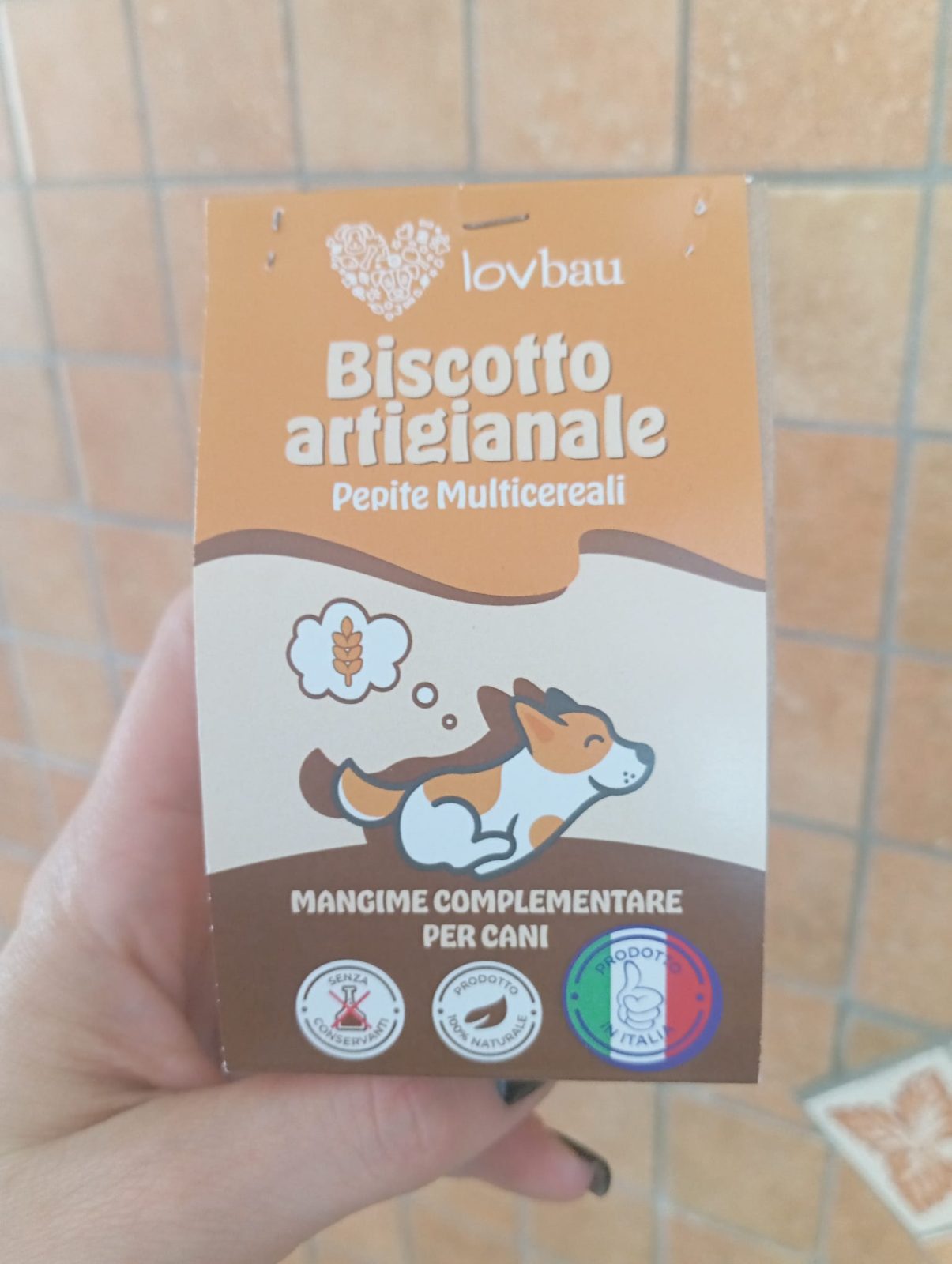 Biscotto artigianale Multicereali