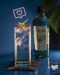Gin colella